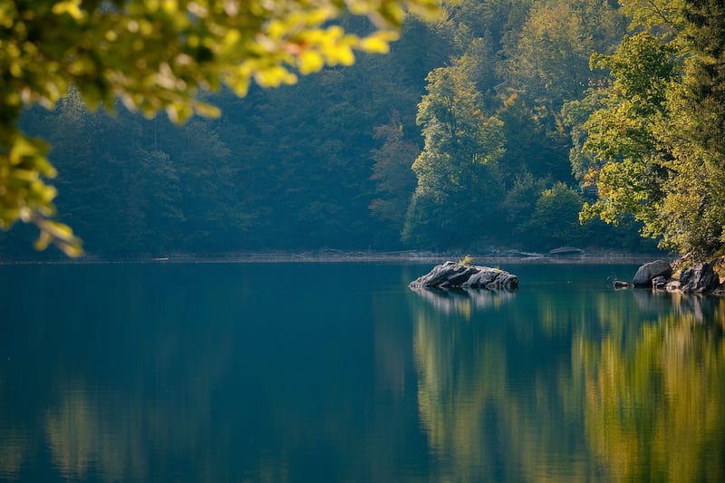 Lakeside Banquet